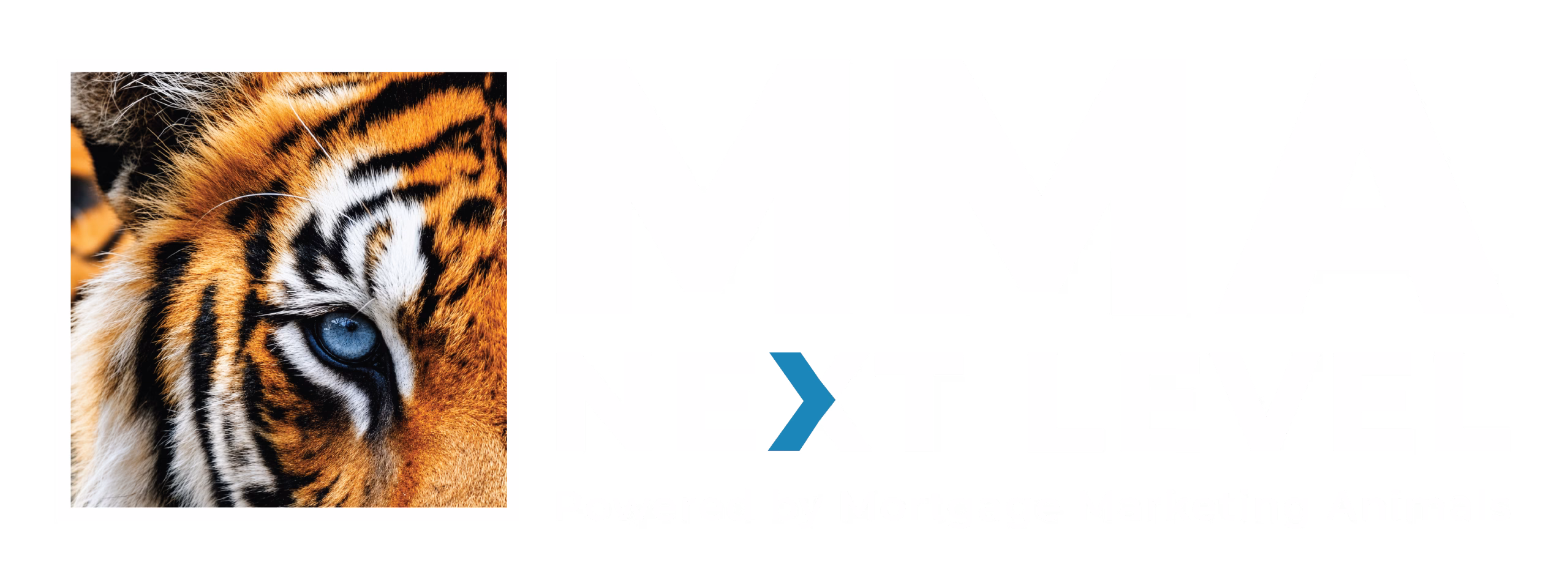MMA Next Level Logo